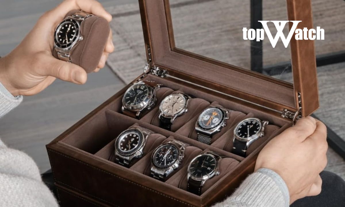 Đầu tư hộp bảo quan đồng hồ chuyên dụng