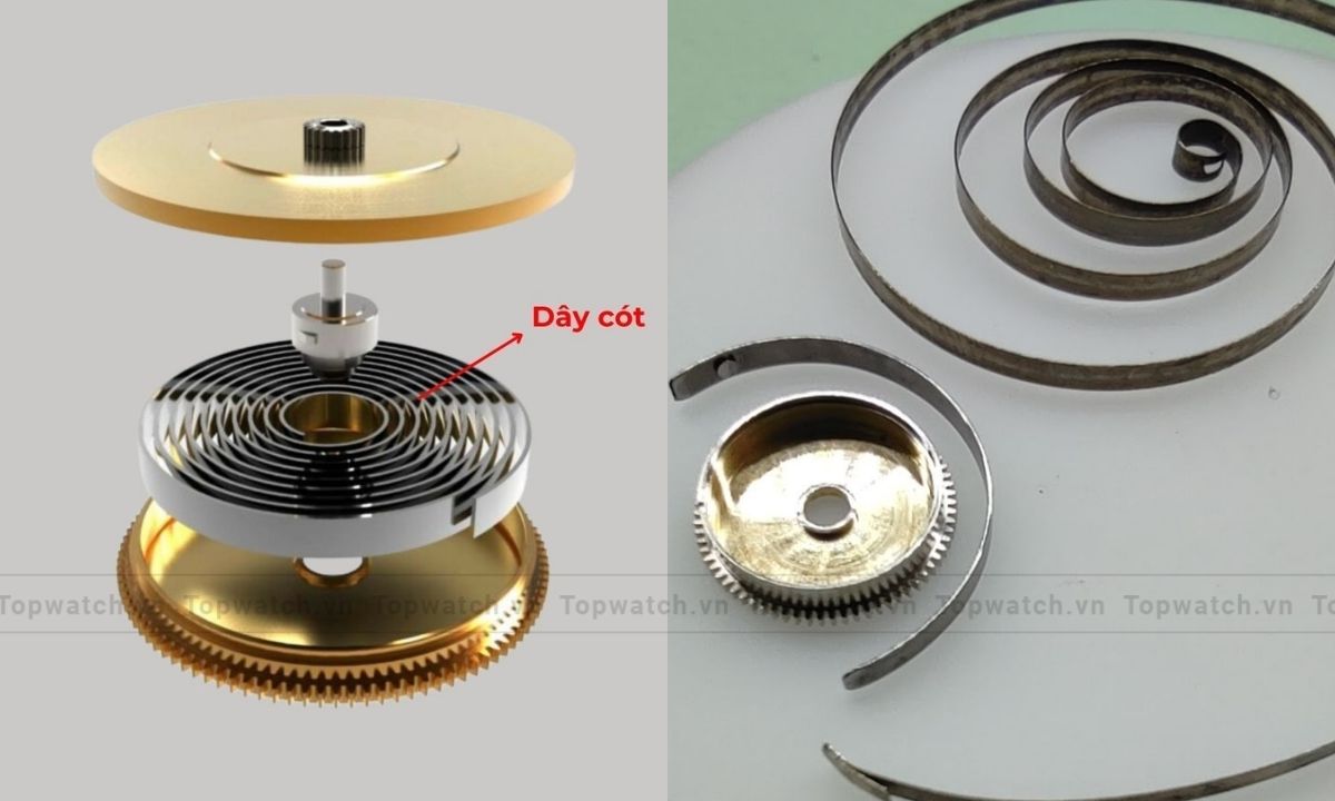 Nguyên nhân đồng hồ cơ bị đứt dây cót và cách khắc phục hiệu quả Dây cót đồng hồ bị đứt