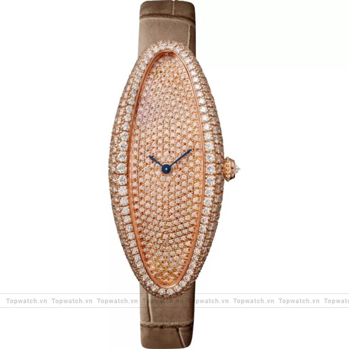 Cartier Baignoire Allongée WJBA0010 Watch 47x21mm Cartier Baignoire Allongée WJBA0010 Watch 47x21mm