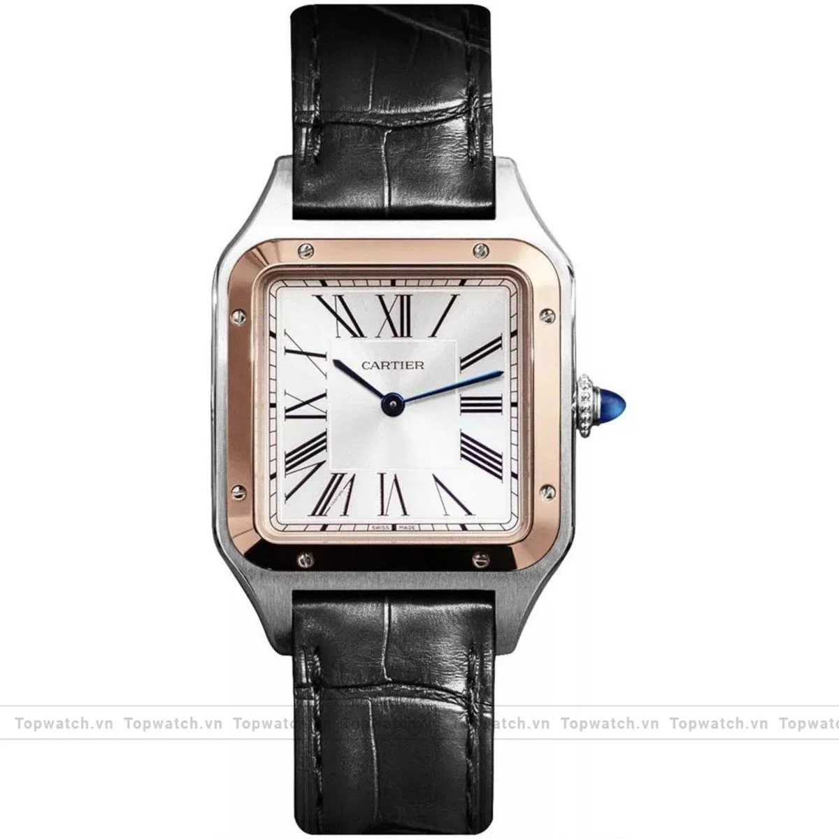 Cartier Santos-Dumont W2SA0011 Watch 43.5mm x 31.4mm Cartier Santos-Dumont W2SA0011 Watch 43.5mm x 31.4mm