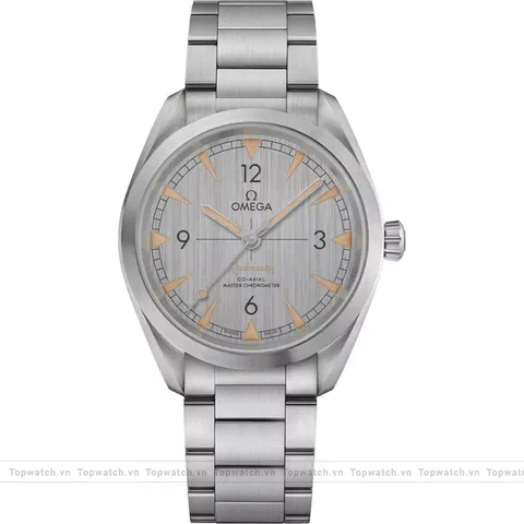 Omega Railmaster 220.10.40.20.06.001 Co‑Axial Master 40mm