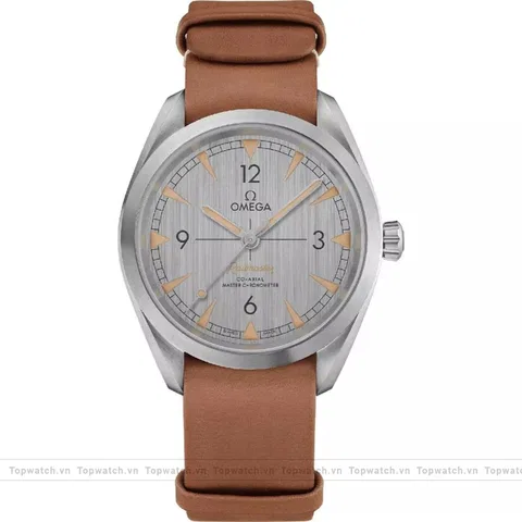 Omega Railmaster 220.12.40.20.06.001 Co‑Axial Master 40mm
