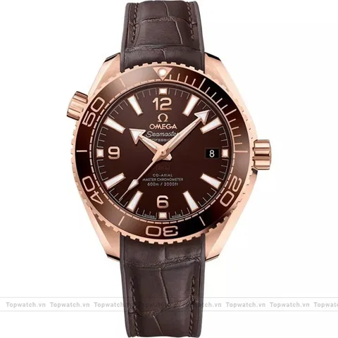 Omega Planet Ocean 600m 215.63.40.20.13.001 Co‑Axial 39.5mm