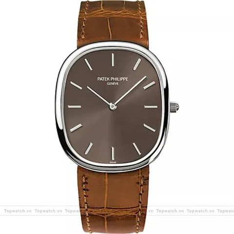 Patek Philippe Gondolo Ellipse 3738/100g Watch 31.1x35.6mm