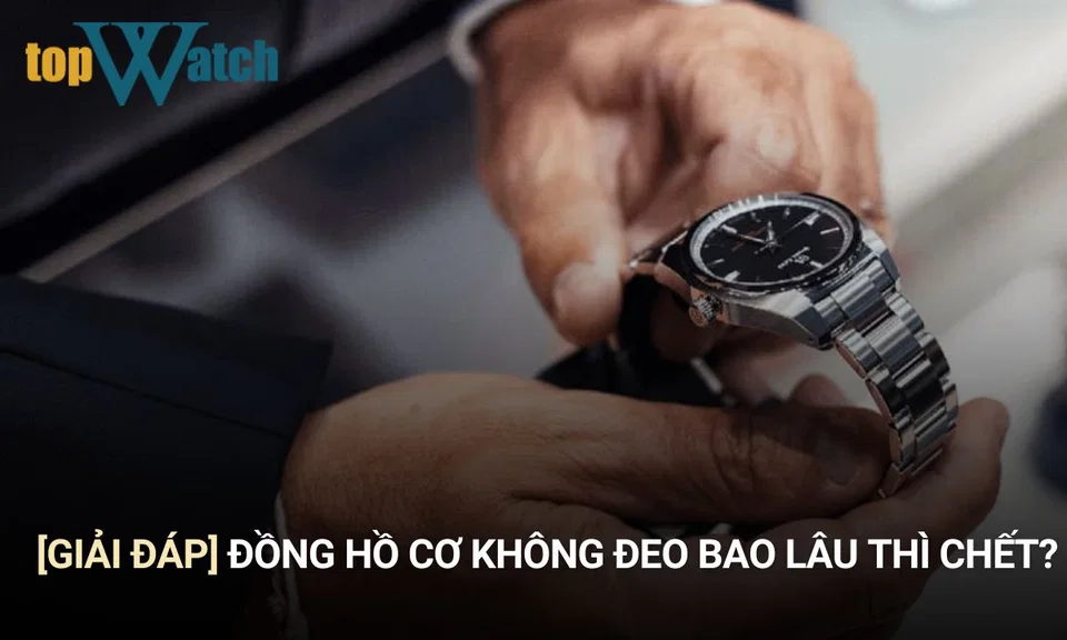 [Giải đáp] Đồng hồ cơ không đeo bao lâu thì chết?