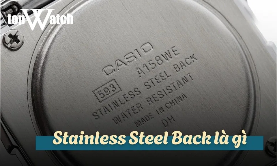 định nghĩa stainless steel back