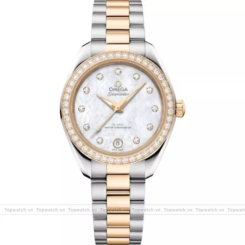 Omega Seamaster 220.25.30.20.55.001 Aqua Terra 150M Watch 30mm