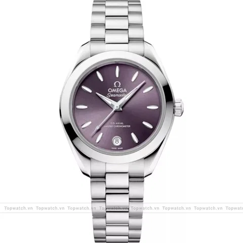 Omega Seamaster 220.10.30.20.10.002 Aqua Terra 150M Watch 30mm