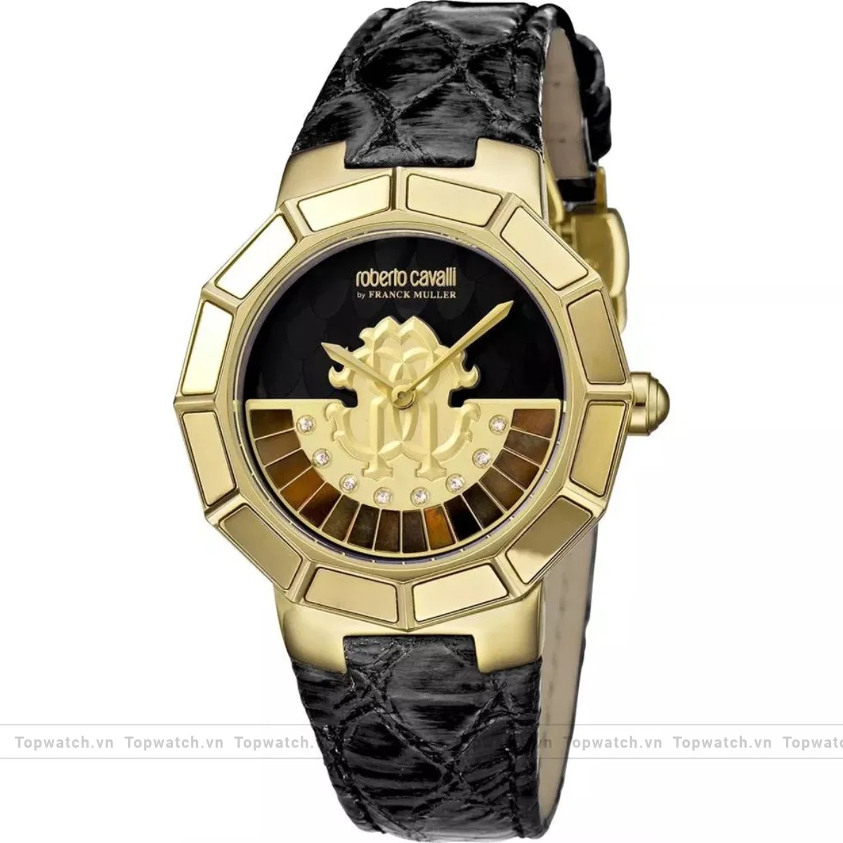 Roberto Cavalli By Franck Muller RV2L011L0066 Watch 37mm Roberto Cavalli By Franck Muller RV2L011L0066 Watch 37mm