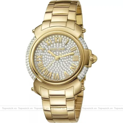 Roberto Cavalli By Franck Muller RV1L006M0046 Watch 40mm