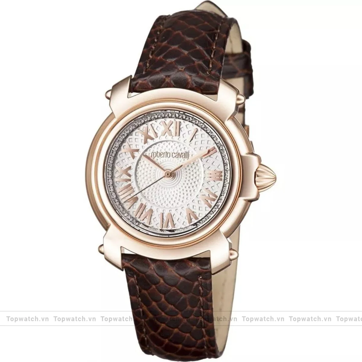 Roberto Cavalli By Franck Muller RV1L005L0036 Watch 35mm Roberto Cavalli By Franck Muller RV1L005L0036 Watch 35mm