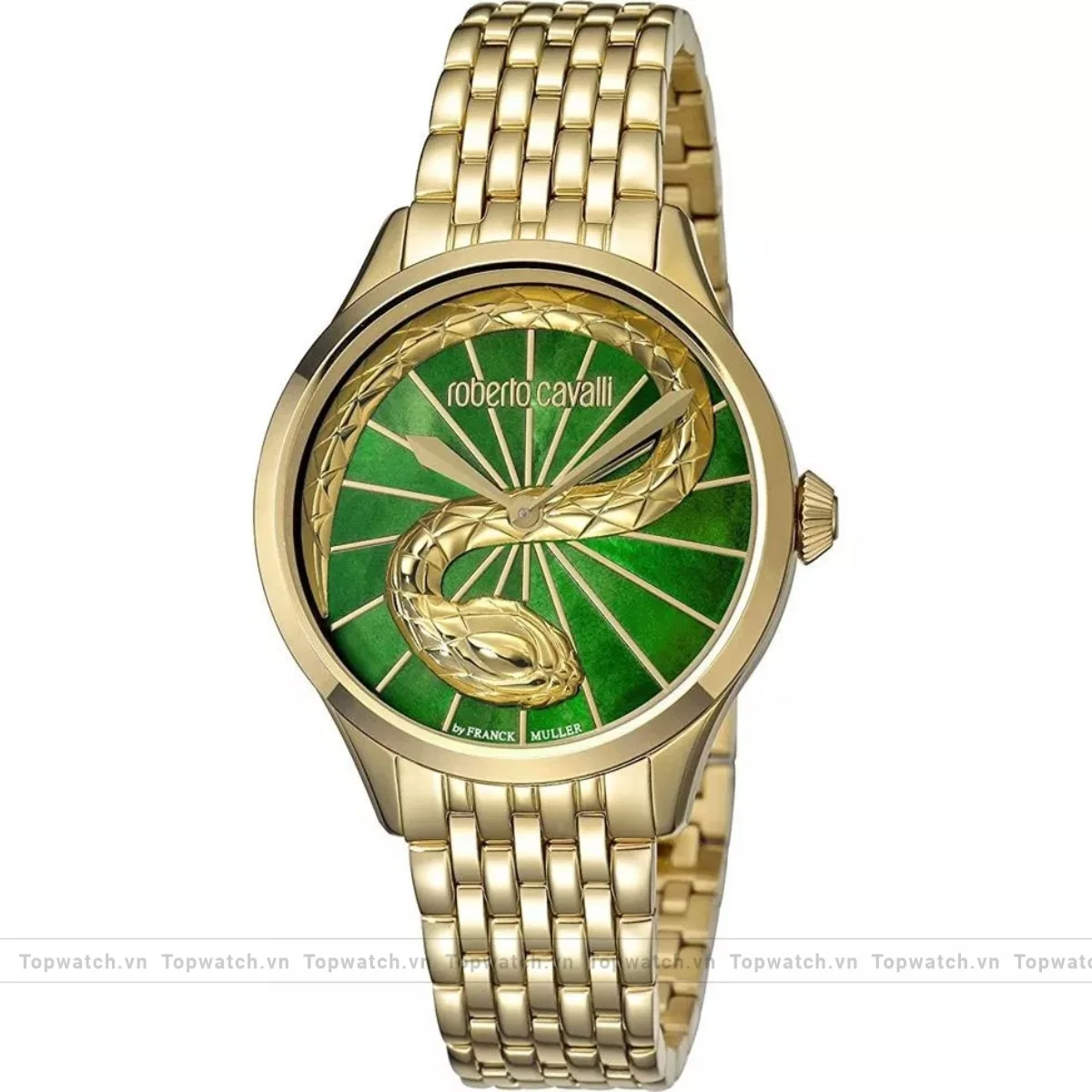 Roberto Cavalli RC-35 RV1L036M0066 Mother of Pearl Watch 34mm Roberto Cavalli RC-35 RV1L036M0066 Mother of Pearl Watch 34mm