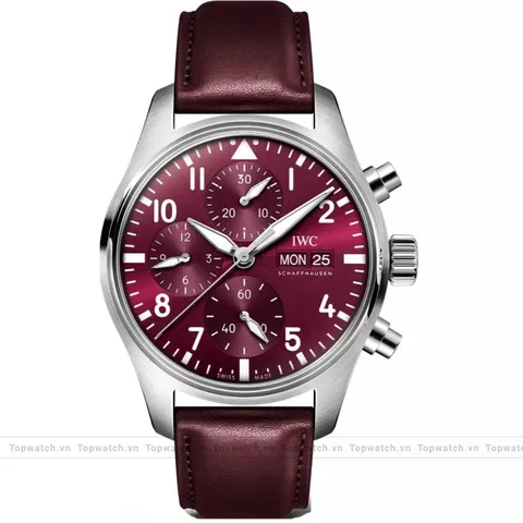 IWC Pilot's IW388107 Chinese New Year Watch 41mm