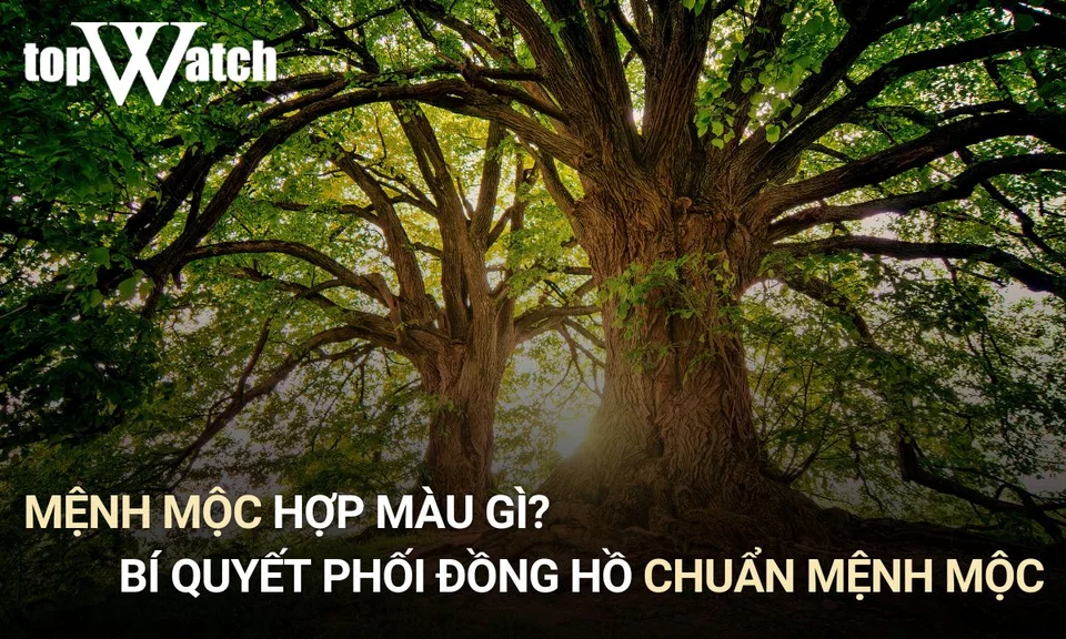 mệnh mộc hợp màu gì