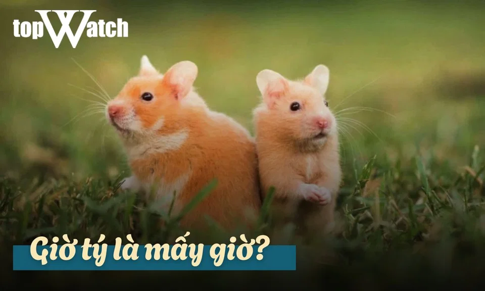 giờ tý là mấy giờ