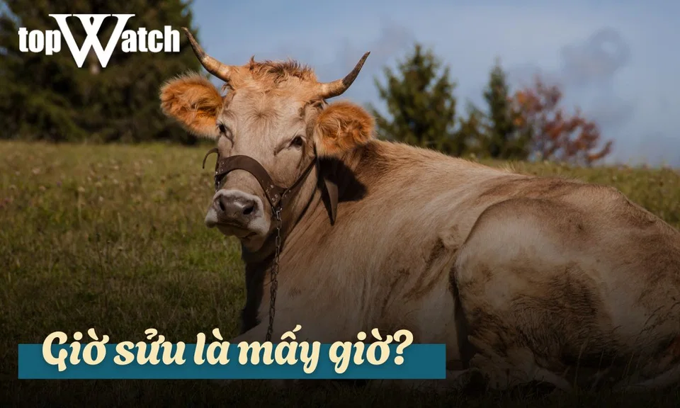 giờ sửu là mấy giờ