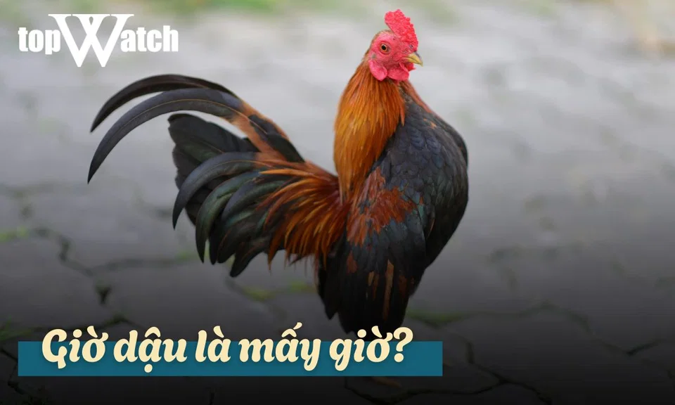 giờ dậu là mấy giờ