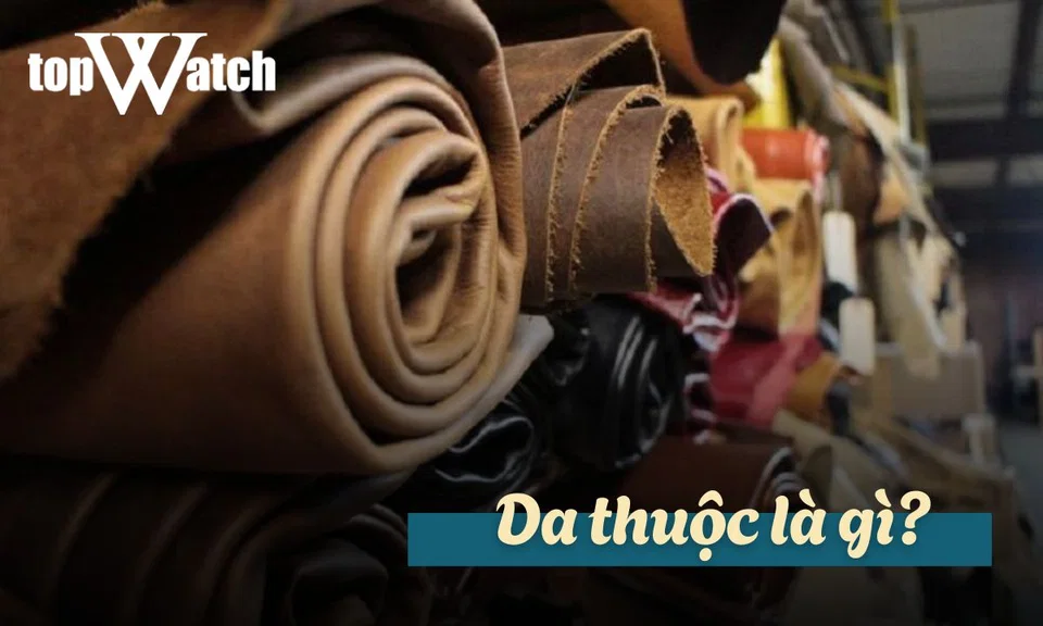 da thuộc là gì