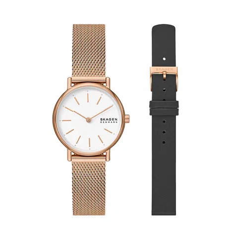 Đồng hồ Skagen Nữ SKW1153SET Dây Mesh 30mm