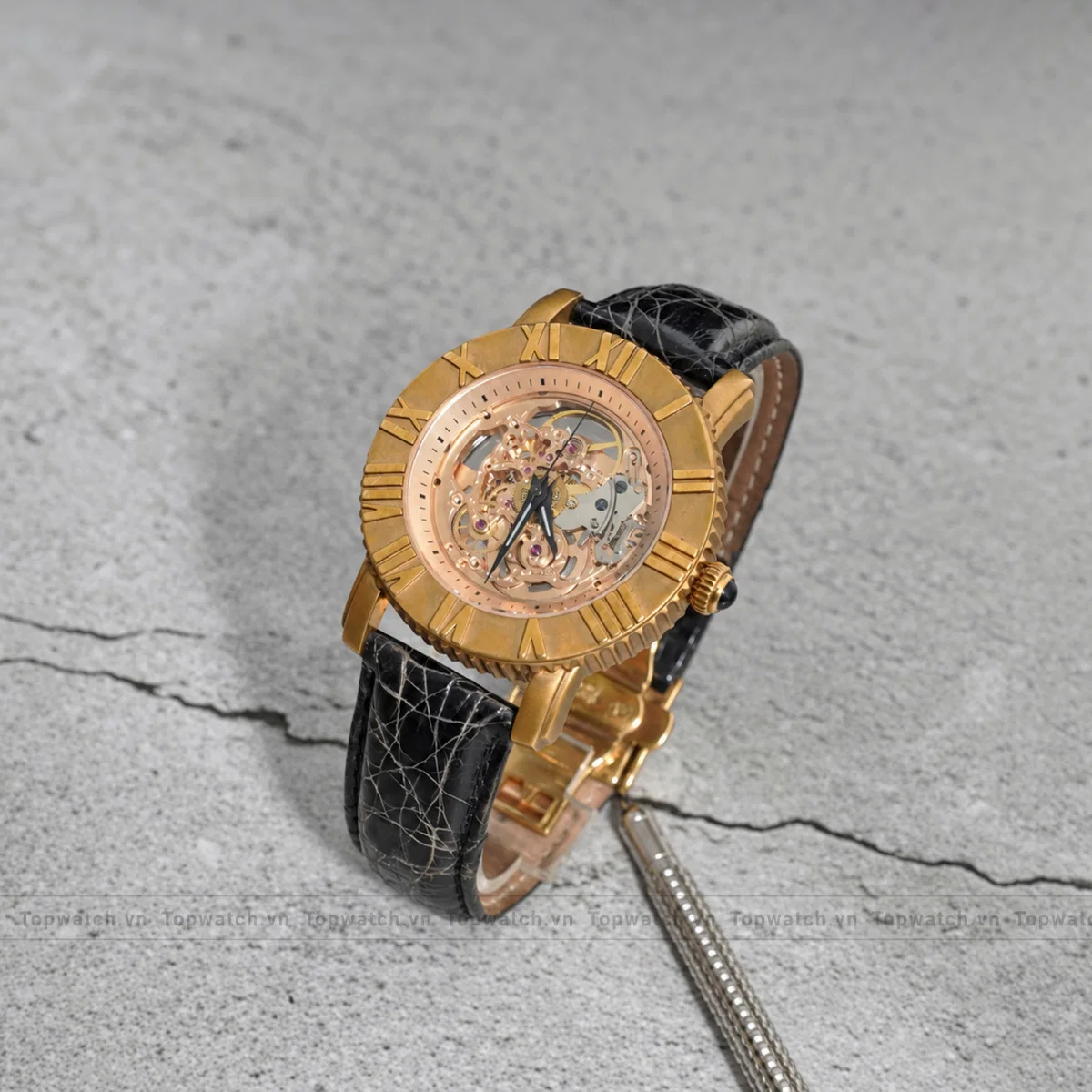 Đồng hồ Croton Automatic Đồng hồ Croton Automatic
